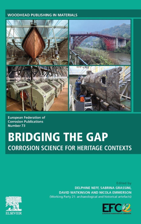 Buch Bridging the Gap Delphine Neff