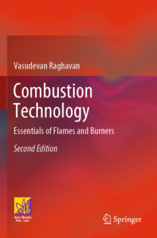 Knjiga Combustion Technology Vasudevan Raghavan