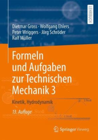 Kniha Formeln und Aufgaben zur Technischen Mechanik 3 Dietmar Gross