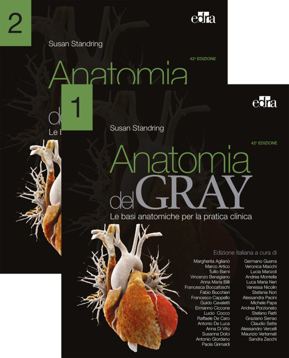 Könyv Anatomia del Gray. Le basi anatomiche per la pratica clinica Susan Standring