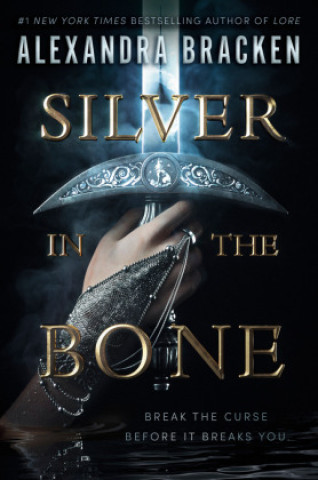 Kniha Silver in the Bone 