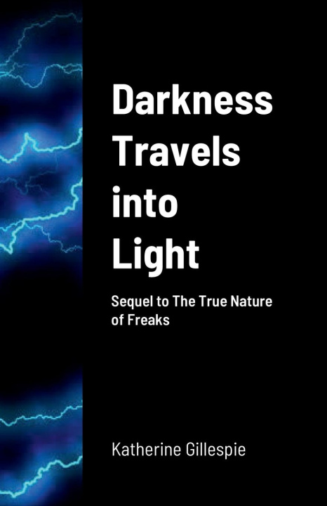 Buch Darkness Travels into Light Katherine Gillespie