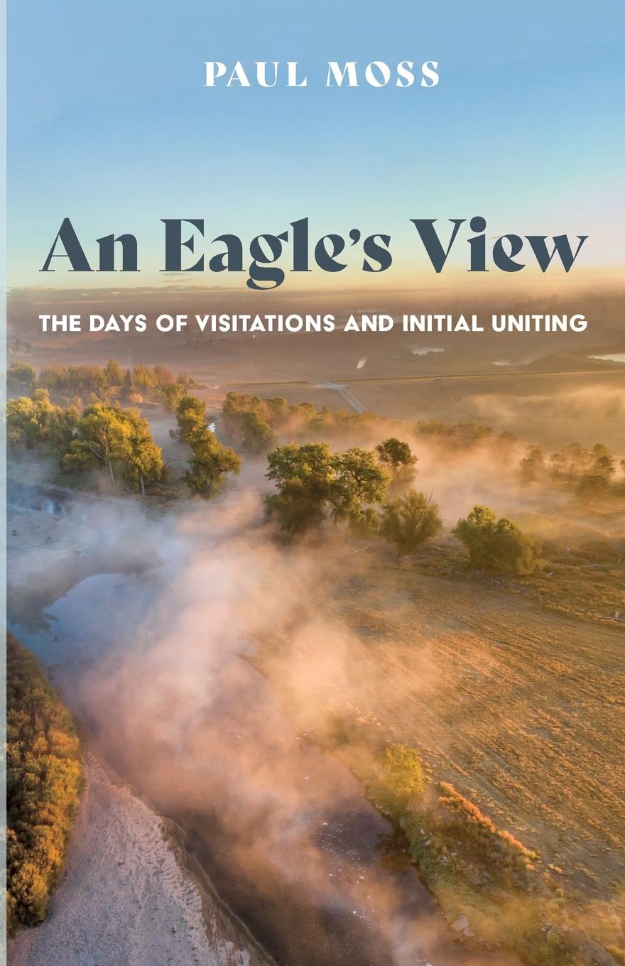 Knjiga Eagle's View Paul Moss