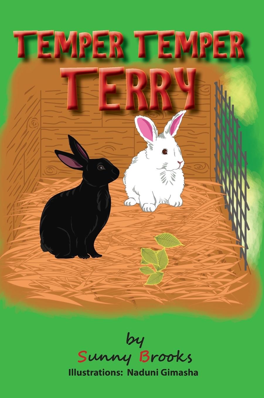 Kniha Temper Temper Terry Sunny Brooks