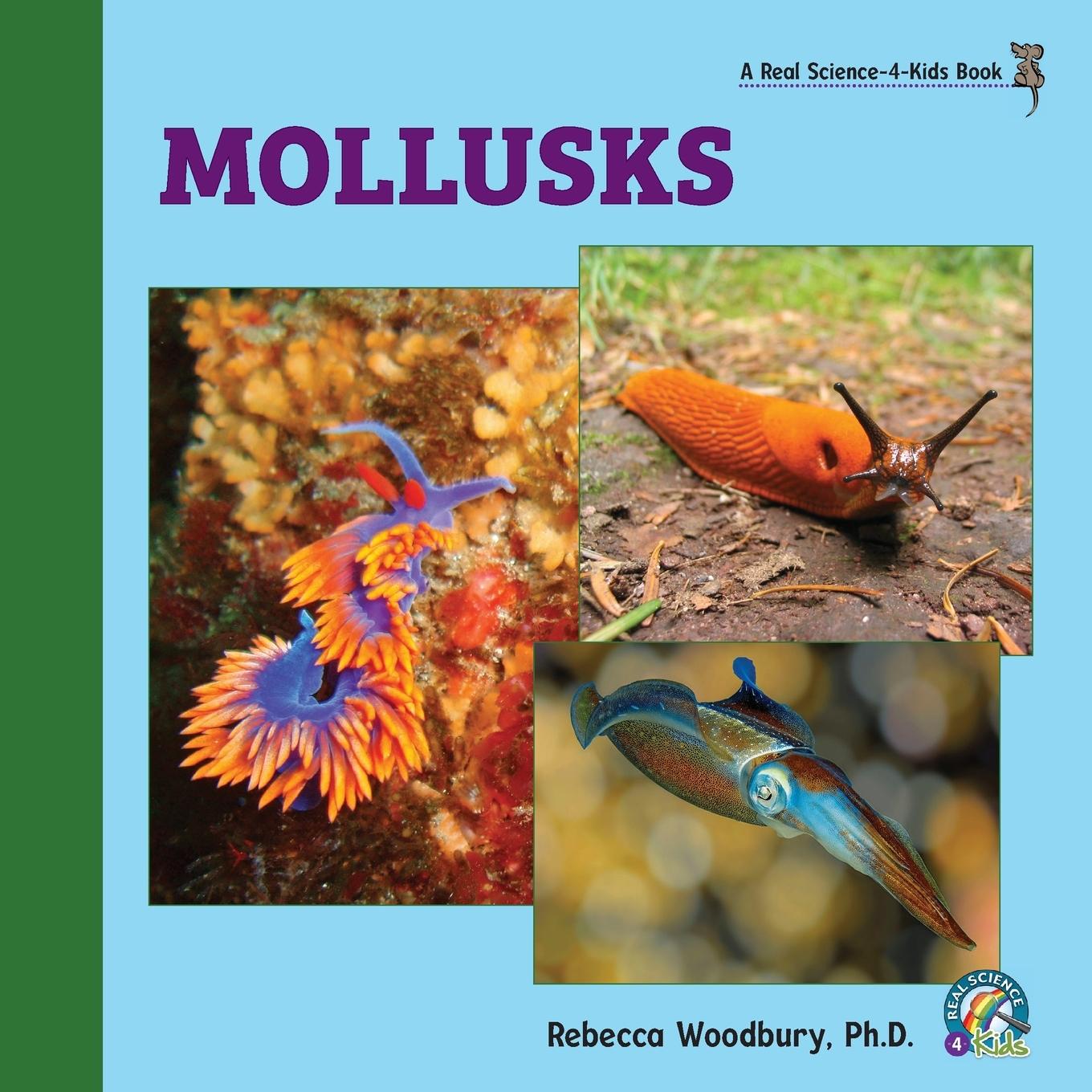 Knjiga Mollusks Rebecca Woodbury Ph.D.