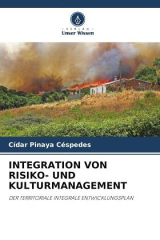 Книга INTEGRATION VON RISIKO- UND KULTURMANAGEMENT 