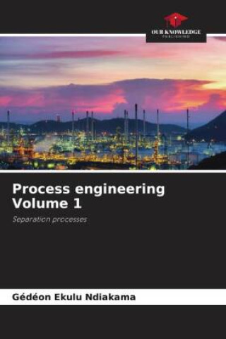Knjiga Process engineering Volume 1 Gédéon Ekulu Ndiakama