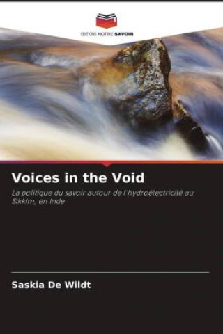 Buch Voices in the Void Saskia de Wildt