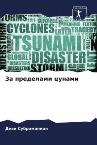 Buch Za predelami cunami Dewi Subramanian