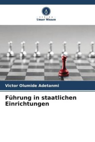 Kniha Führung in staatlichen Einrichtungen 