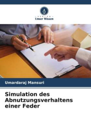 Kniha Simulation des Abnutzungsverhaltens einer Feder 