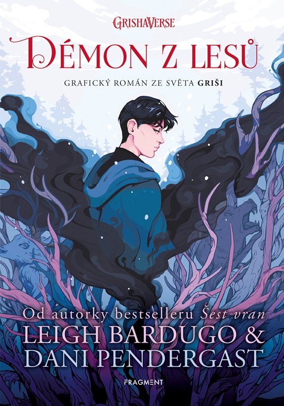 Book Démon z lesů Leigh Bardugo