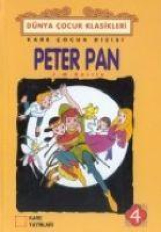 Buch Peter Pan 