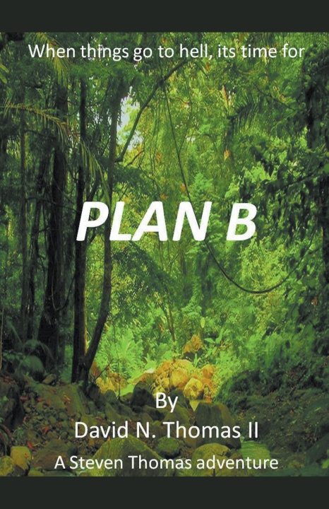 Book Plan B David Thomas