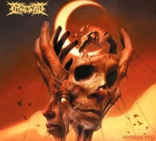 Audio Ashes Lie Still Ingested