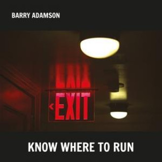 Zvok Know Where To Run Barry Adamson