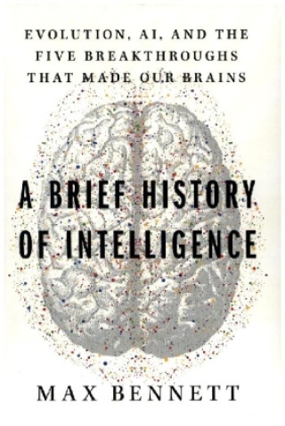 Książka Brief History of Intelligence 
