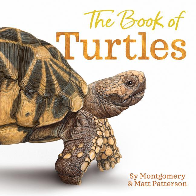 Книга Book of Turtles Matt Patterson