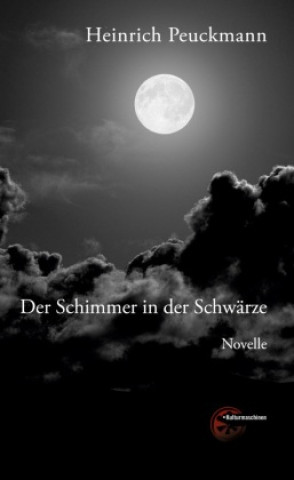 Knjiga Der Schimmer in der Schwärze 