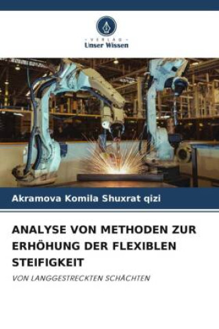 Książka ANALYSE VON METHODEN ZUR ERHÖHUNG DER FLEXIBLEN STEIFIGKEIT 