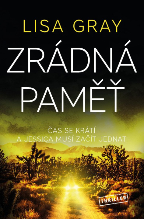 Knjiga Zrádná paměť Lisa Gray
