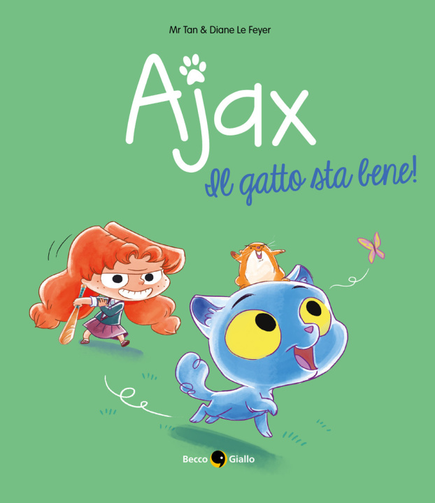 Knjiga Ajax Diane Le Feyer