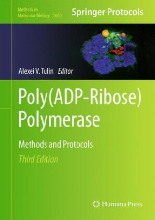 Książka Poly(ADP-Ribose) Polymerase Alexei V. Tulin