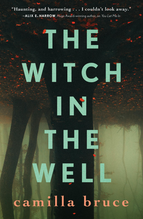 Kniha The Witch in the Well 