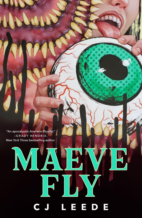 Könyv Maeve Fly 