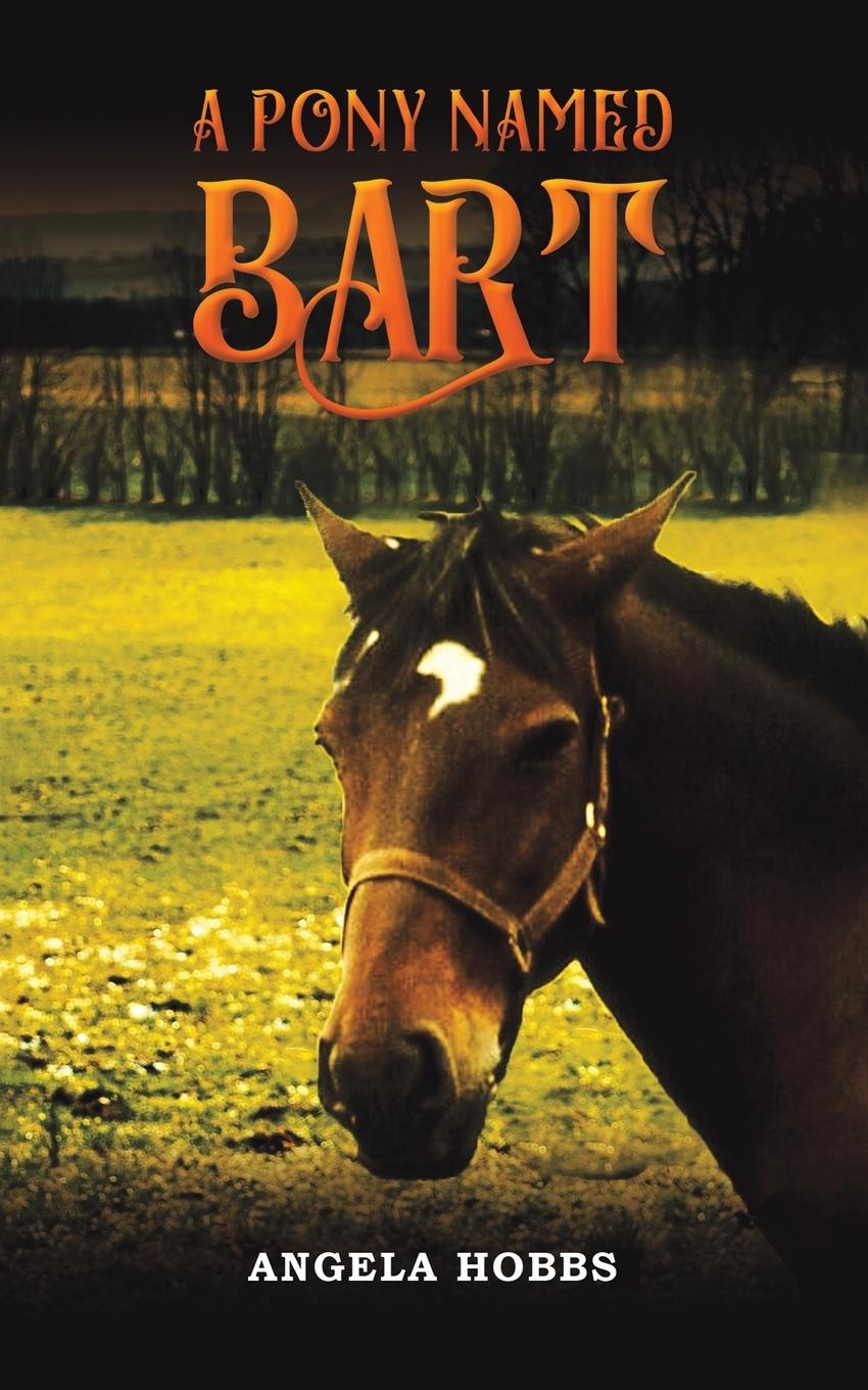 Knjiga Pony Named Bart 