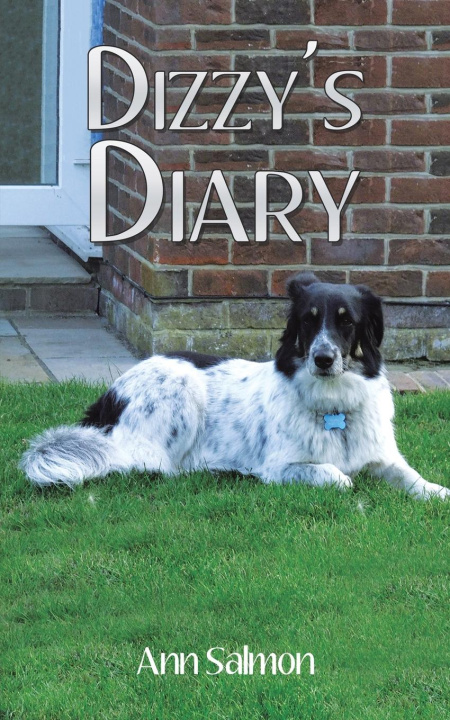 Knjiga Dizzy's Diary 