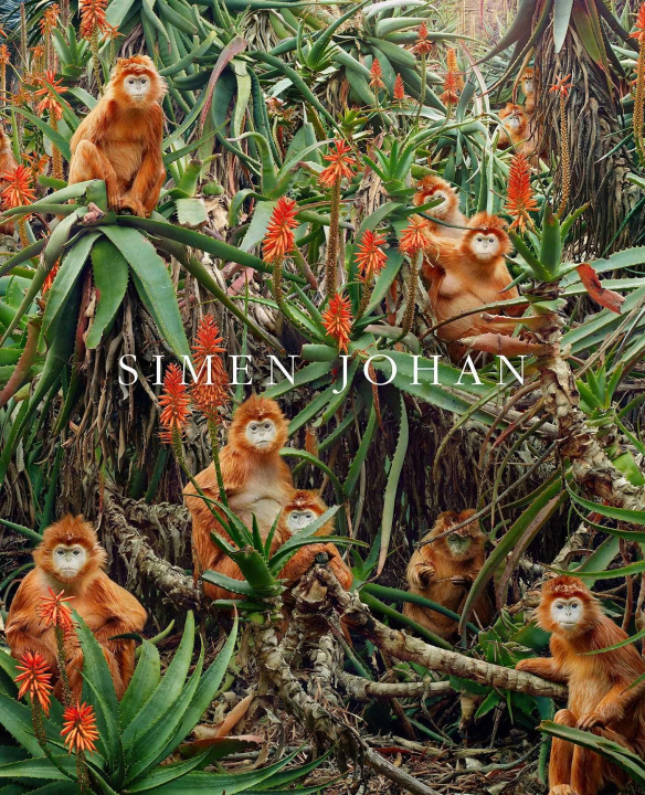 Buch Simen Johan Simen Johan