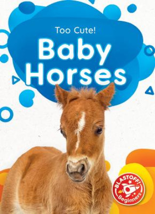 Libro Baby Horses 