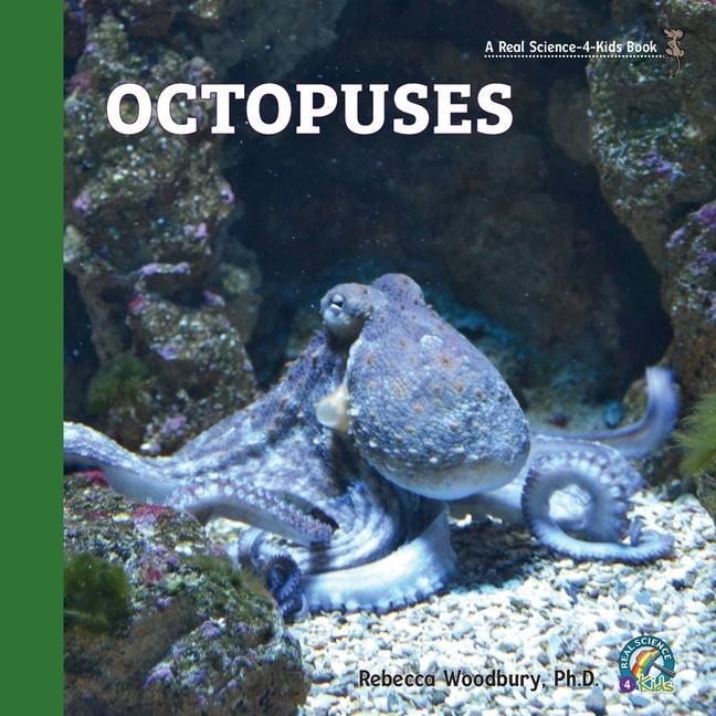 Kniha Octopuses 