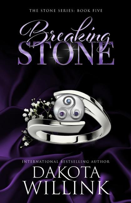 Kniha Breaking Stone Dakota Willink