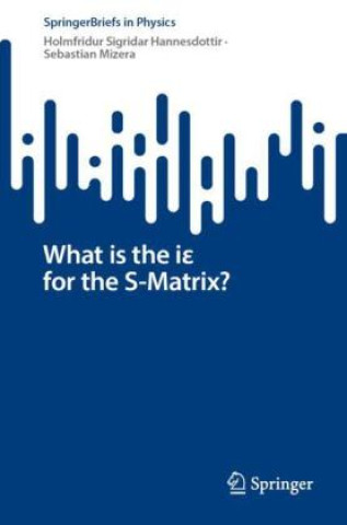 Książka What is the i  for the S-matrix? Holmfridur Sigridar Hannesdottir