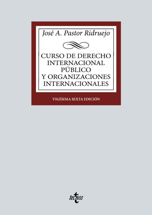 Könyv Curso de Derecho Internacional Público y Organizaciones Internacionales JOSE ANTONIO PASTOR RIDRUEJO