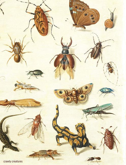 Kniha Crawly Creatures: Depiction and Appreciation of Insects and Other Critters in Art and Science 
