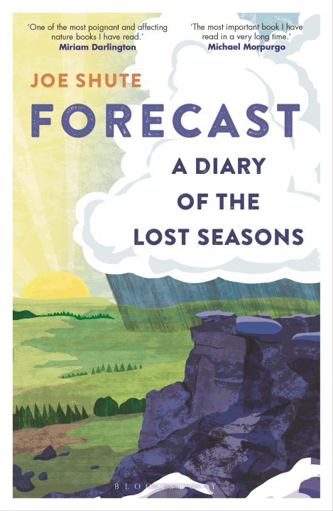 Книга Forecast Joe Shute