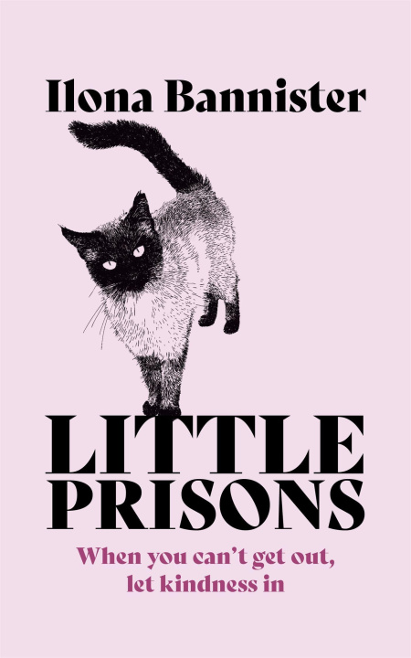 Kniha Little Prisons 