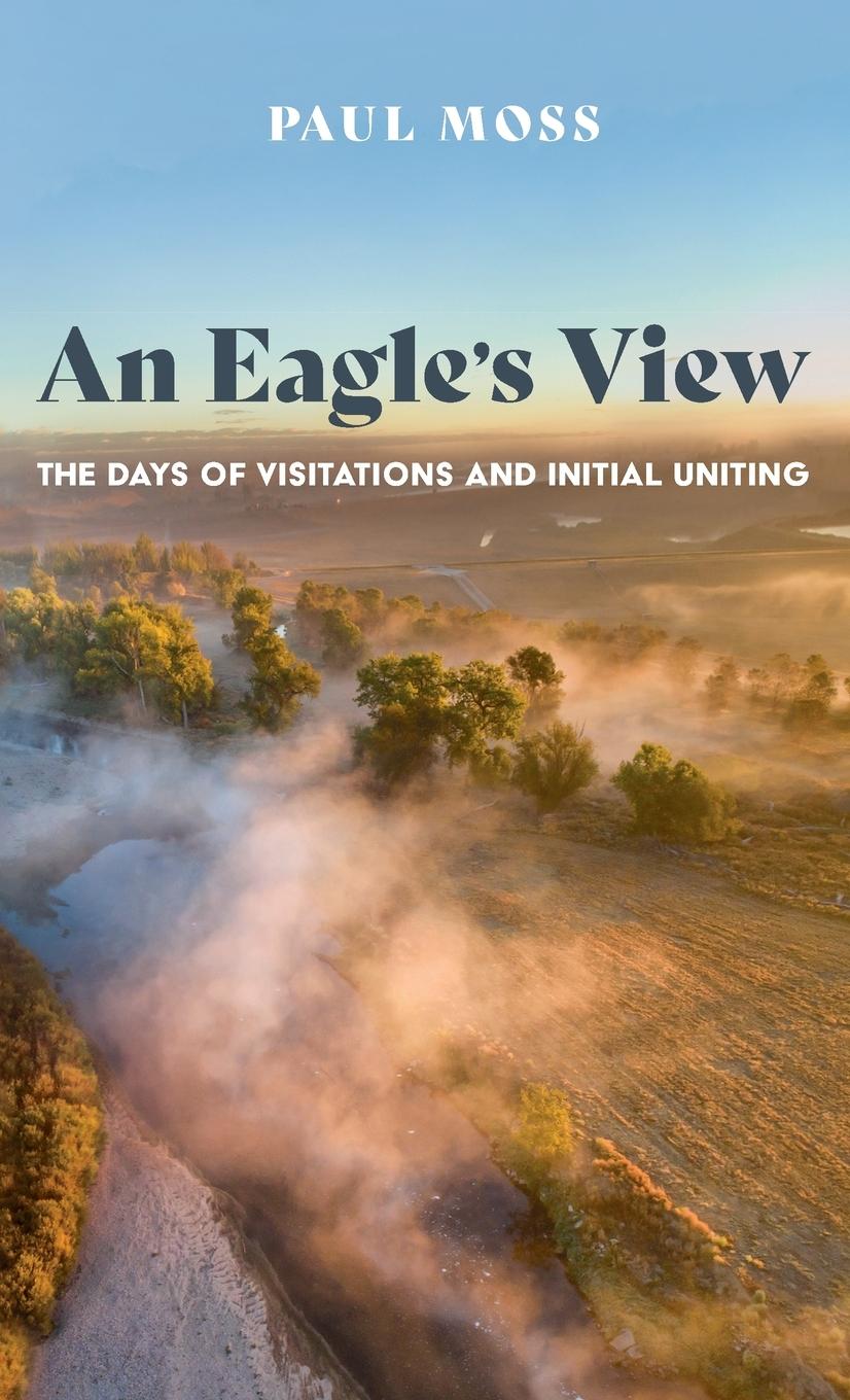 Knjiga An Eagle's View Paul Moss