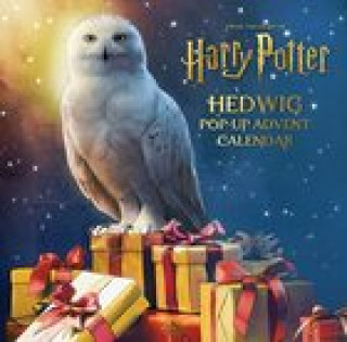 Naptár/Határidőnapló Harry Potter: Hedwig Pop-up Advent Calendar Matthew Reinhart