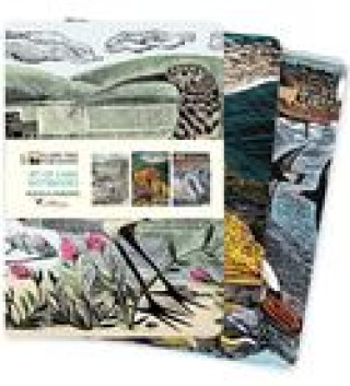 Naptár/Határidőnapló Angela Harding Set of 3 Midi Notebooks - Wildlife 