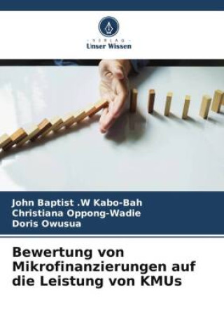 Könyv Bewertung von Mikrofinanzierungen auf die Leistung von KMUs Christiana Oppong-Wadie