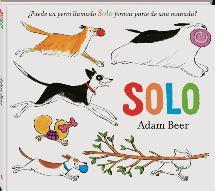 Knjiga Solo ADAM BEER