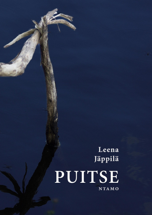 Knjiga Puitse 