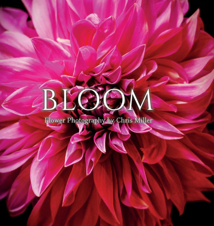 Knjiga Bloom Chris Miller