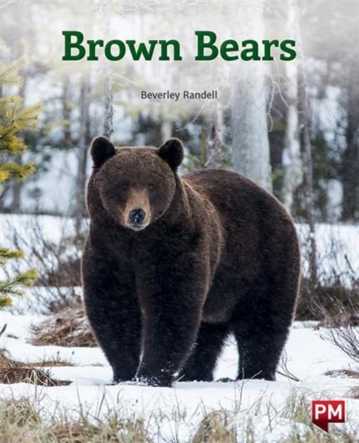 Book BROWN BEARS BEVERLEY RANDELL