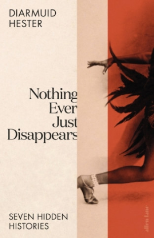 Kniha Nothing Ever Just Disappears Diarmuid Hester