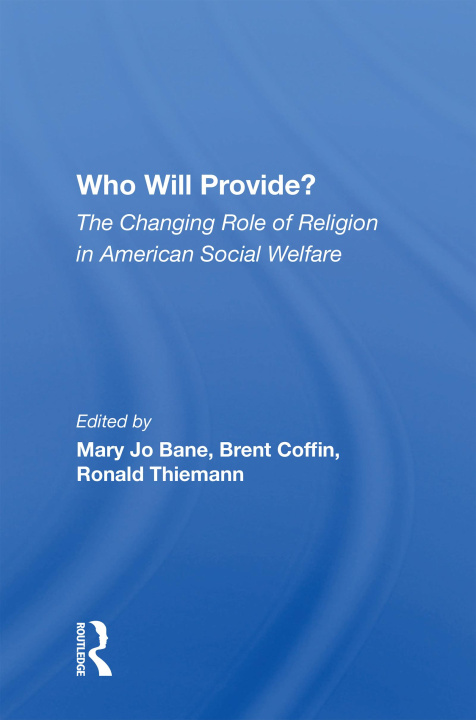 Buch Who Will Provide? Mary Jo Bane